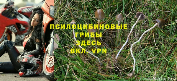 бутират Горнозаводск
