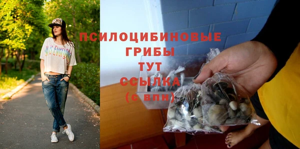 прущий лед Горно-Алтайск